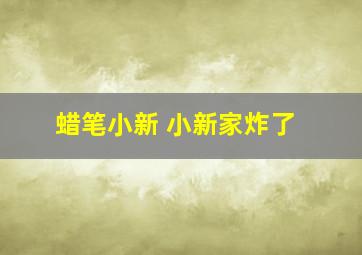 蜡笔小新 小新家炸了